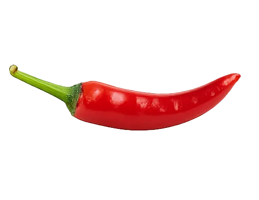 Red Chilli
