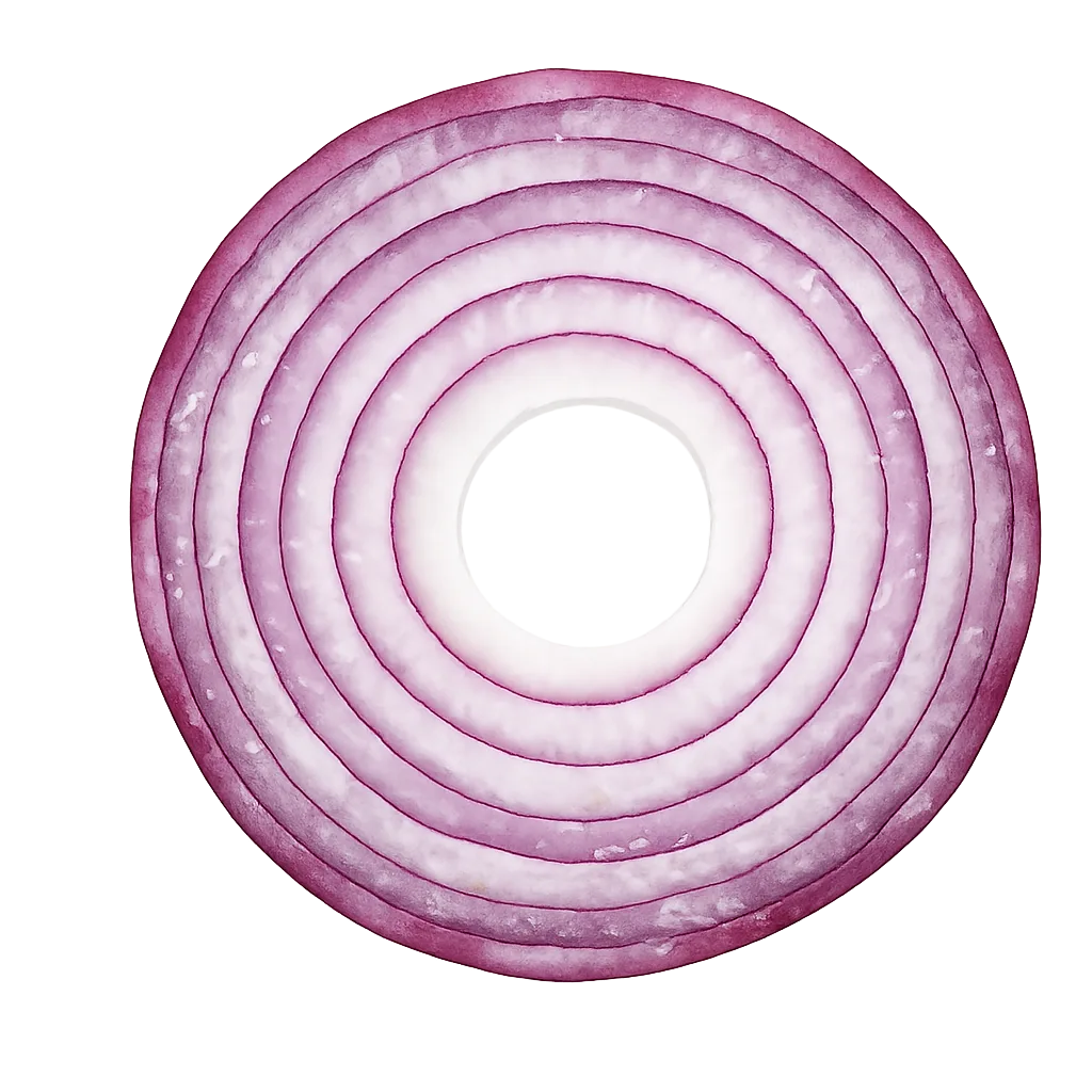 Red Onion Slice